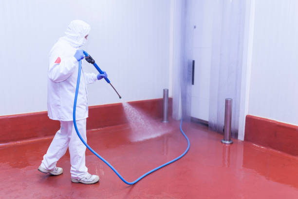 Best Building Exterior Washing  in Rainbow Springs, FL