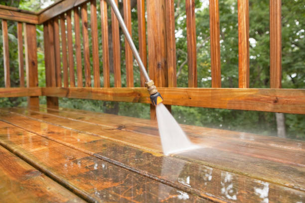 Best Restaurant Pressure Washing  in Rainbow Springs, FL